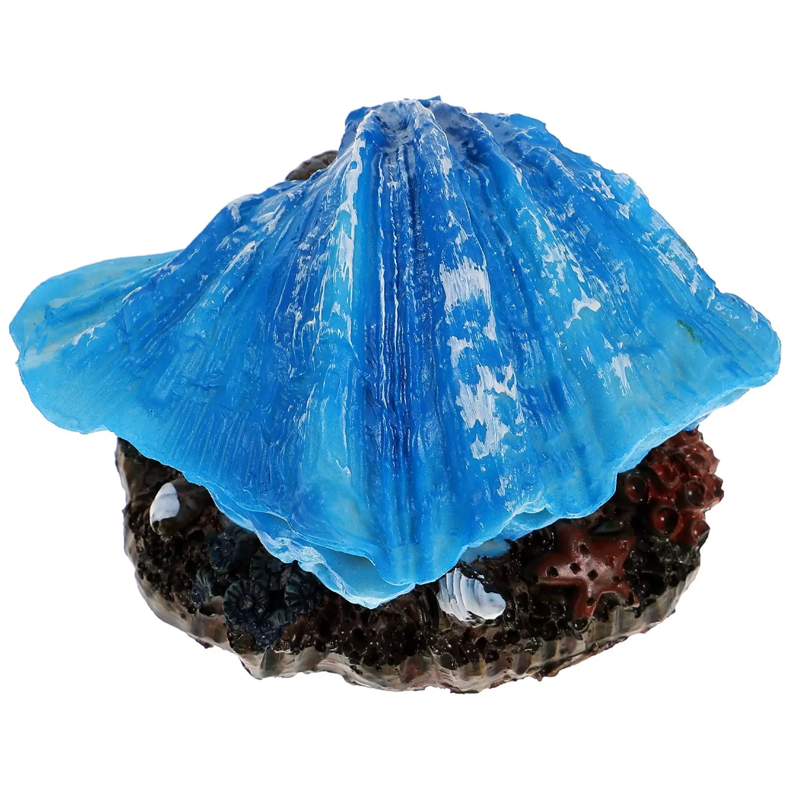 Decor Durable Resin Aquarium Decoration Craft Small Fish Tank Shell Decor Sea Shell Fish Tank Ocean Supplies
Decor Durable Resin Aquarium Decoration Craft Small Fish Tank Shell Decor Sea Shell Fish Tank Ocean Supplies