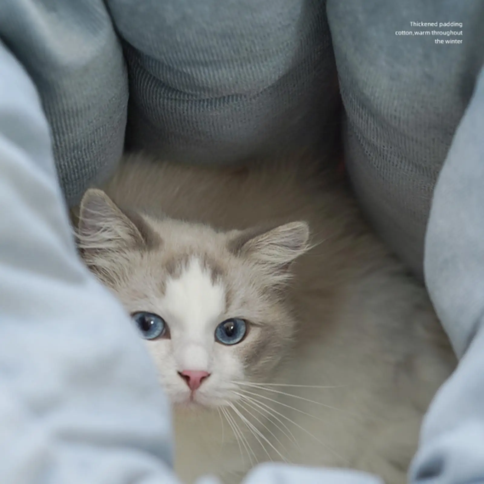 Warm House Small Medium Puppy Self Warming with Drawstring Cave Pet Bed Cat
Warm House Small Medium Puppy Self Warming with Drawstring Cave Pet Bed Cat