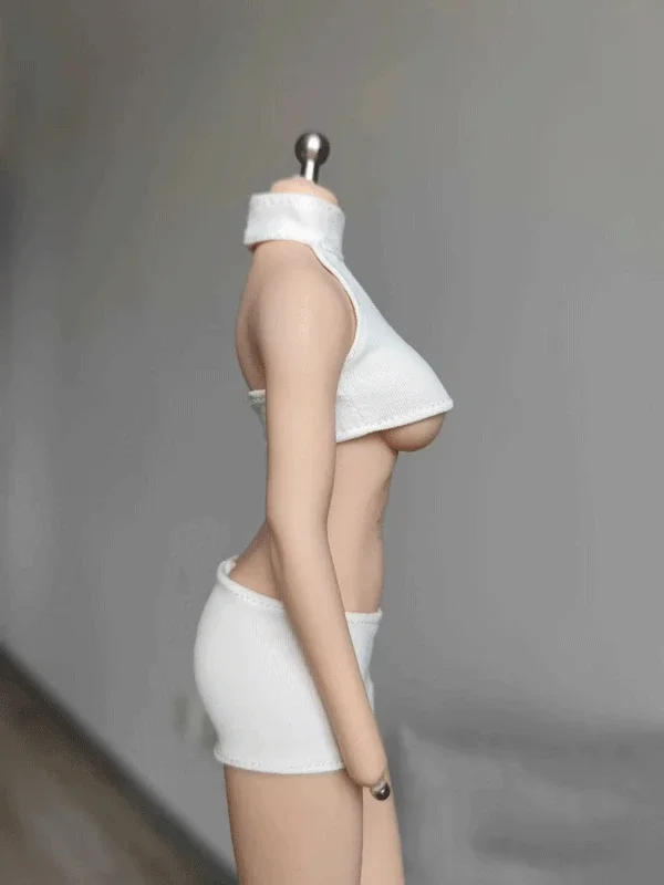 1/6 Female Sodier Clothes Tops+Skirt for 12''TBL Ph s10d Action Figure
1/6 Female Sodier Clothes Tops+Skirt for 12''TBL Ph s10d Action Figure