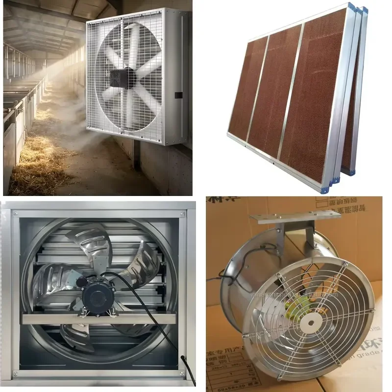 Wall-mounted Industrial Exhaust Fan, Greenhouse Poultry Farm Cooling Fan
Wall-mounted Industrial Exhaust Fan, Greenhouse Poultry Farm Cooling Fan
