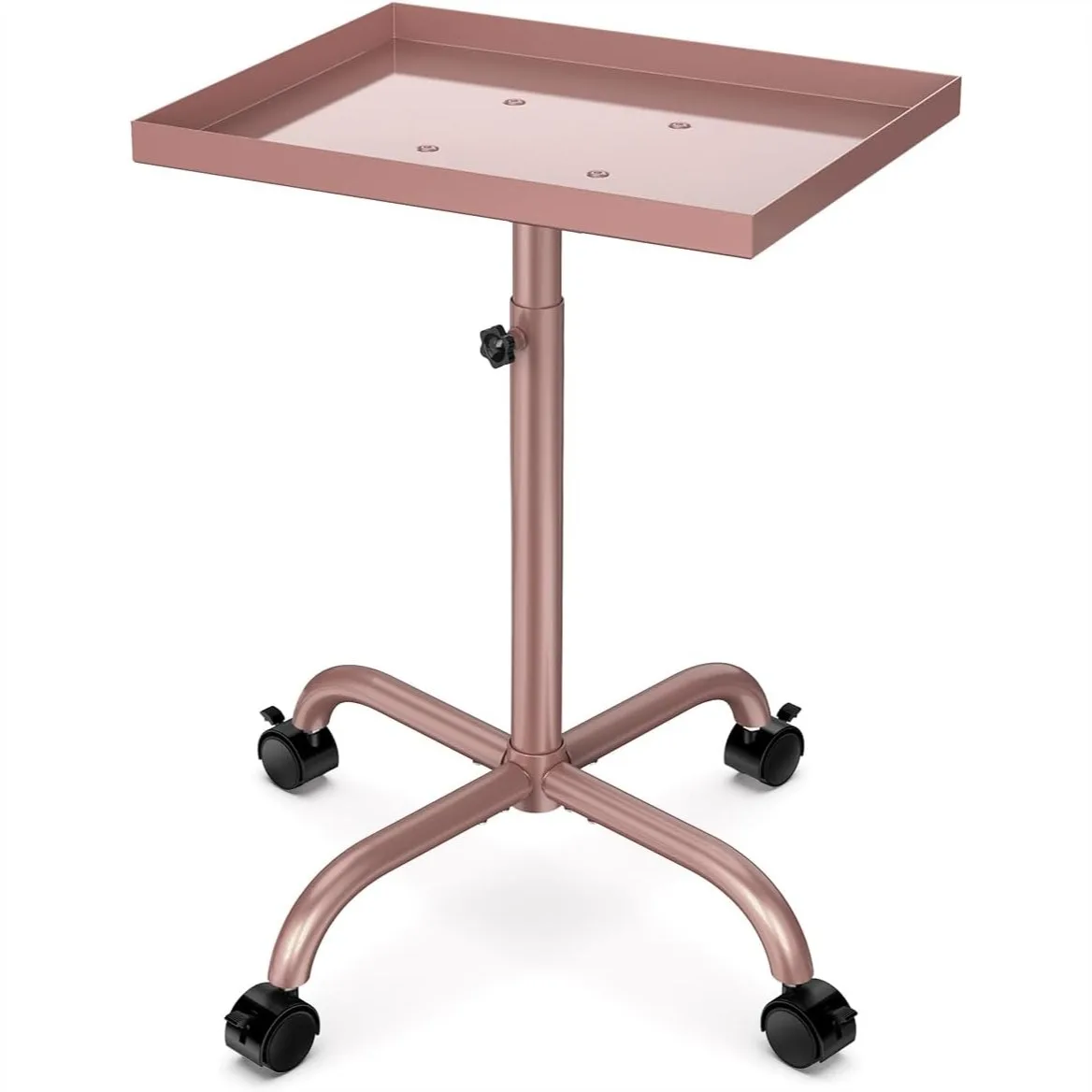 Salon Tray Cart, Rolling Tattoo Tray Adjustable Height 26-42.5 in, Pink Storage Cart for Hair Stylist Home Salon Clinic Spa Rose
Salon Tray Cart, Rolling Tattoo Tray Adjustable Height 26-42.5 in, Pink Storage Cart for Hair Stylist Home Salon Clinic Spa Rose