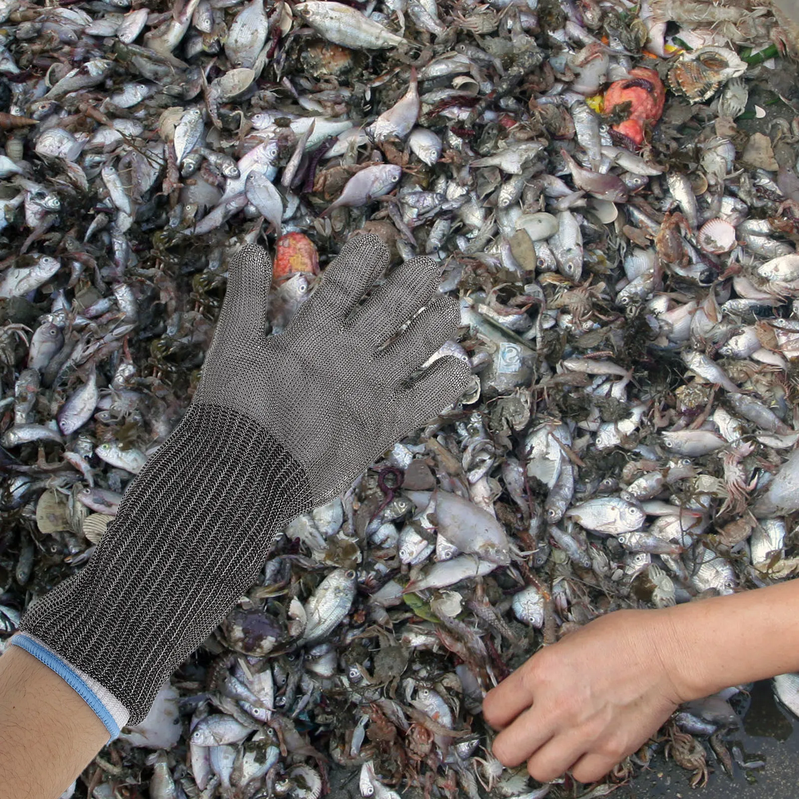 1 Pair Cut Resistant Gloves Stainless Steel Wire For Kitchen Meat Fish Processing Oyster Shucking Woodworking Safety Work Tools
1 Pair Cut Resistant Gloves Stainless Steel Wire For Kitchen Meat Fish Processing Oyster Shucking Woodworking Safety Work Tools