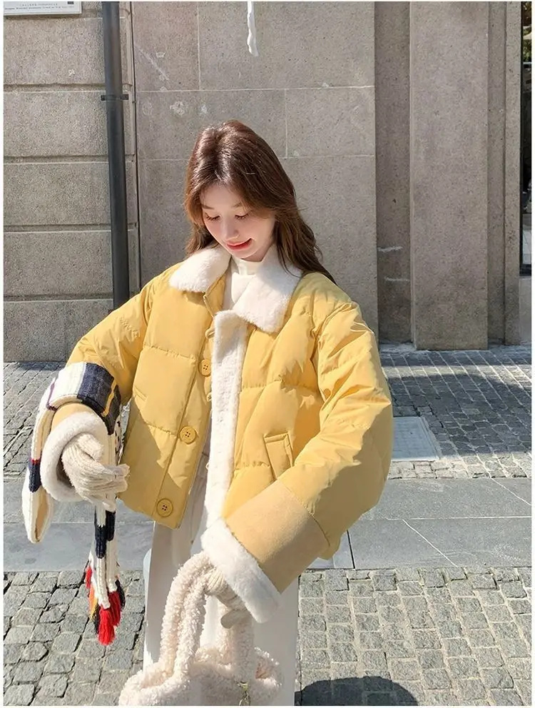 Куртка из овечьей шерсти, темно-зеленая, удобная, портативная, носимая, поддерживаемая, устойчивая, долговечная, терпимая, нейтральная
Куртка из овечьей шерсти, темно-зеленая, удобная, портативная, носимая, поддерживаемая, устойчивая, долговечная, терпимая, нейтральная