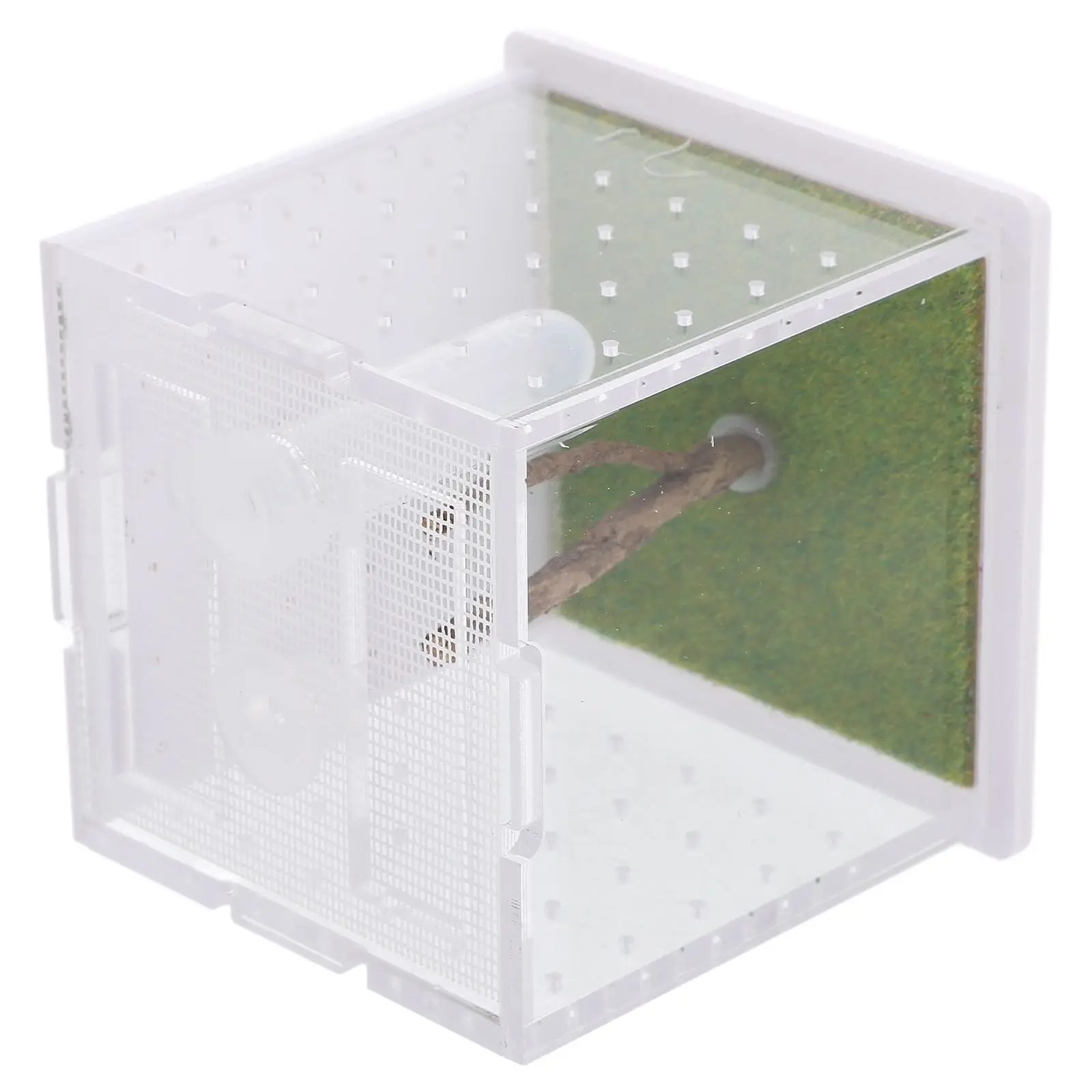 Jumping Spider Breeding Box Transparent Cage Acrylic Terrarium Insect Feeding Container Small Bug Habitat Landscape Box Pet
Jumping Spider Breeding Box Transparent Cage Acrylic Terrarium Insect Feeding Container Small Bug Habitat Landscape Box Pet