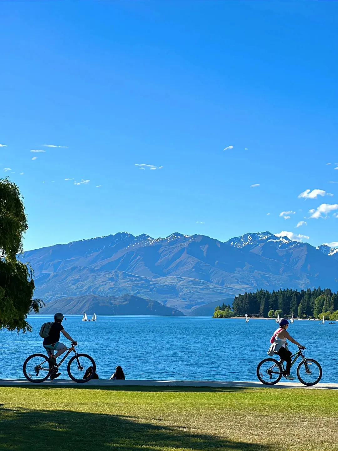 13.8” Android 14 Multimedia Video For Toyota Land Cruiser 2016 - 2019 Multimedia Player Stereo GPS Navigation Carplay Head Unit
13.8” Android 14 Multimedia Video For Toyota Land Cruiser 2016 - 2019 Multimedia Player Stereo GPS Navigation Carplay Head Unit