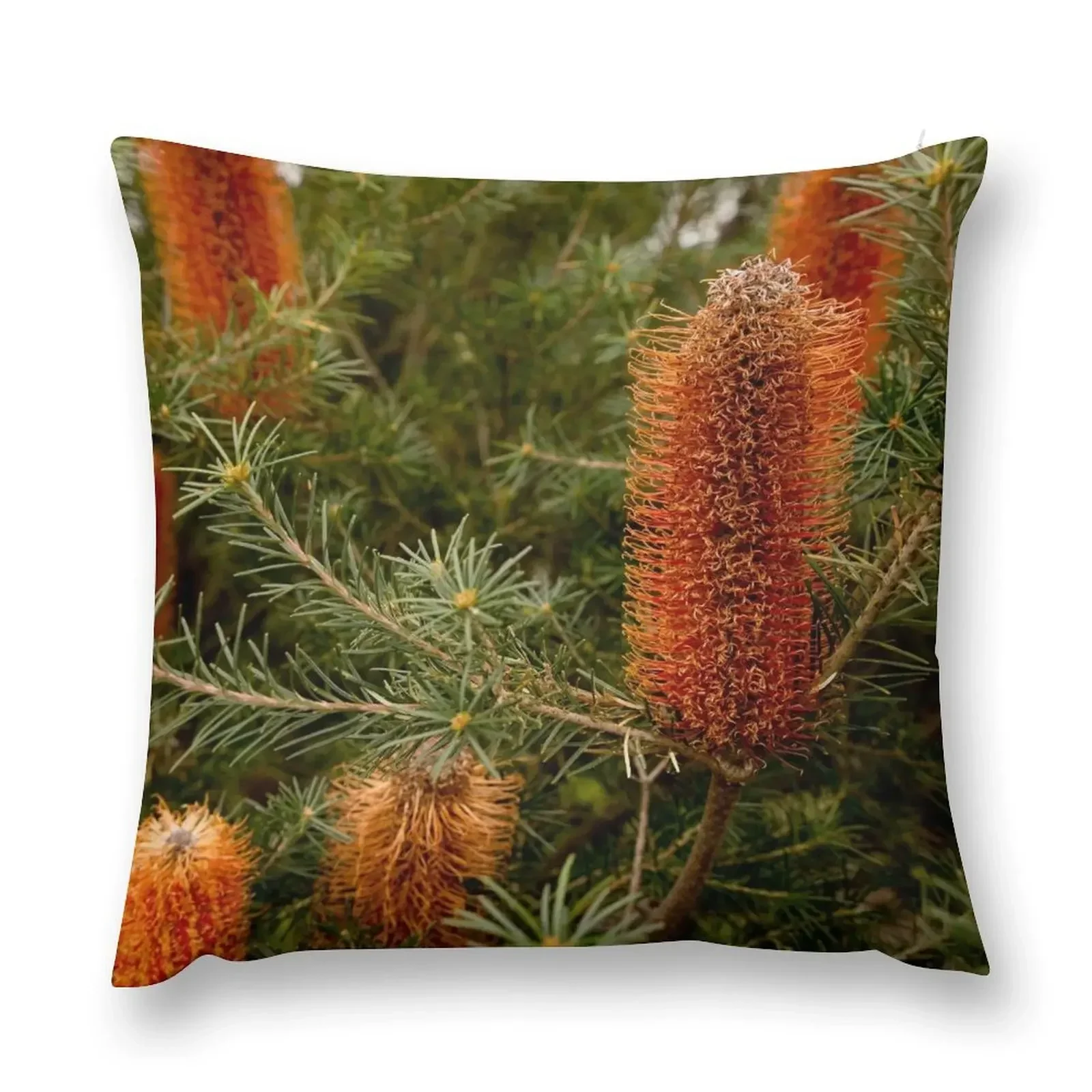 Banksia #5 Throw Pillow Sofa Cushions Cover ornamental pillows for living room Decorative Cushion pillow
Banksia #5 Throw Pillow Sofa Cushions Cover ornamental pillows for living room Decorative Cushion pillow