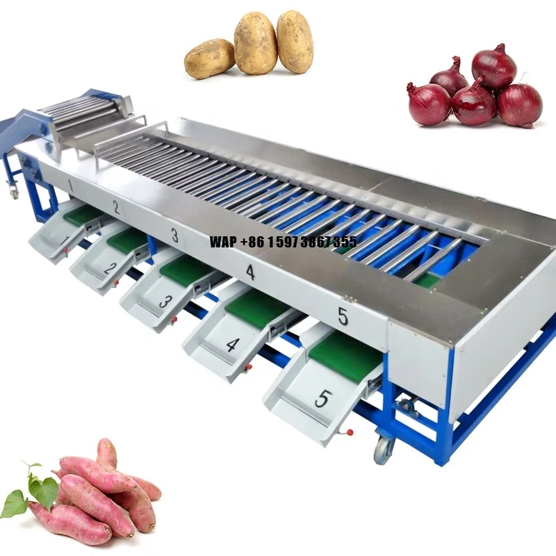 High-Speed Automatic Fruit Vegetable Sorting Equipment Size Grading Machine for Mango Other Vegetables Enhanced Efficiency
High-Speed Automatic Fruit Vegetable Sorting Equipment Size Grading Machine for Mango Other Vegetables Enhanced Efficiency