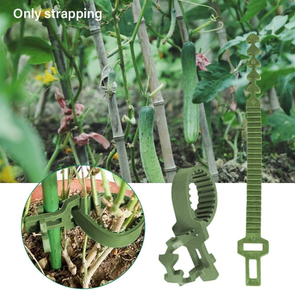 10pcs Plant Ties Adjustable Home Flexible Plant Ties Fixing Buckle Adjustable Length Garden Supplies
10pcs Plant Ties Adjustable Home Flexible Plant Ties Fixing Buckle Adjustable Length Garden Supplies