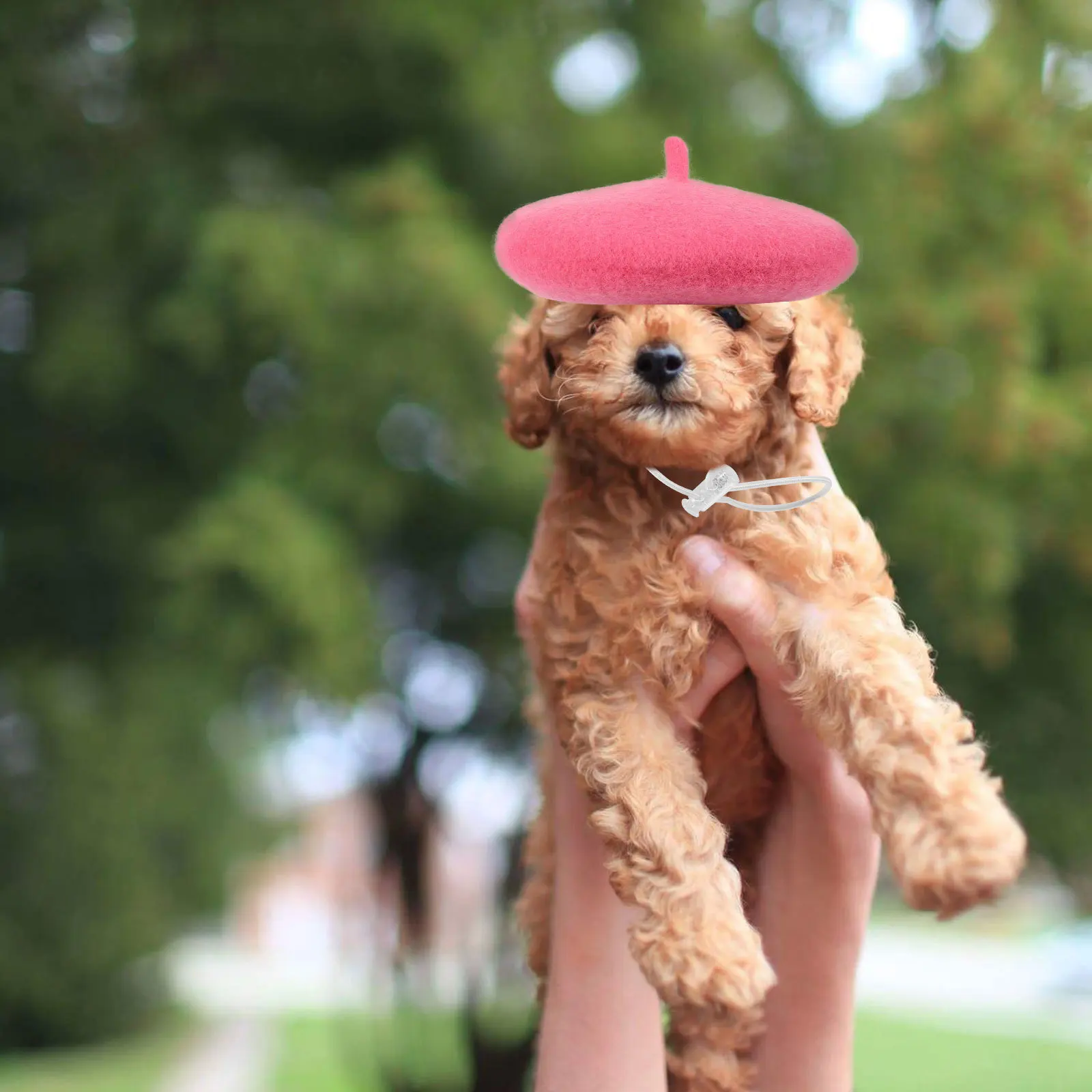 Pet Beret Hat Adjustable Elastic Band Soft Material Party Dog Cat Hat Puppy Costume Headwear Festival Pet Cap Cartoon Dog Cap 
Pet Beret Hat Adjustable Elastic Band Soft Material Party Dog Cat Hat Puppy Costume Headwear Festival Pet Cap Cartoon Dog Cap
