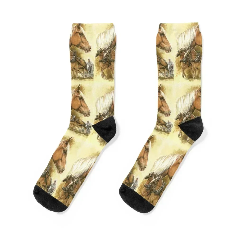 Belgian Socks christmas gifts warm winter custom sports aesthetic Men Socks Luxury Brand Women's
Belgian Socks christmas gifts warm winter custom sports aesthetic Men Socks Luxury Brand Women's