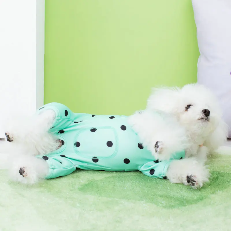 Teddy Belly Care Home Clothing New Dog Clothes Pet Supplies Puppy Four Legged Clothing Dog Air Conditioning Clothing
Teddy Belly Care Home Clothing New Dog Clothes Pet Supplies Puppy Four Legged Clothing Dog Air Conditioning Clothing