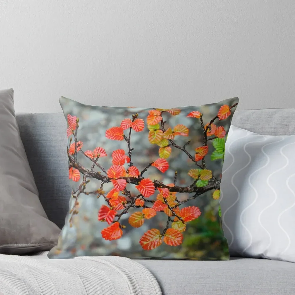 Fagus Throw Pillow Marble Cushion Cover Decorative Cushions For Luxury Sofa pillow pillowcase Pillow
Fagus Throw Pillow Marble Cushion Cover Decorative Cushions For Luxury Sofa pillow pillowcase Pillow
