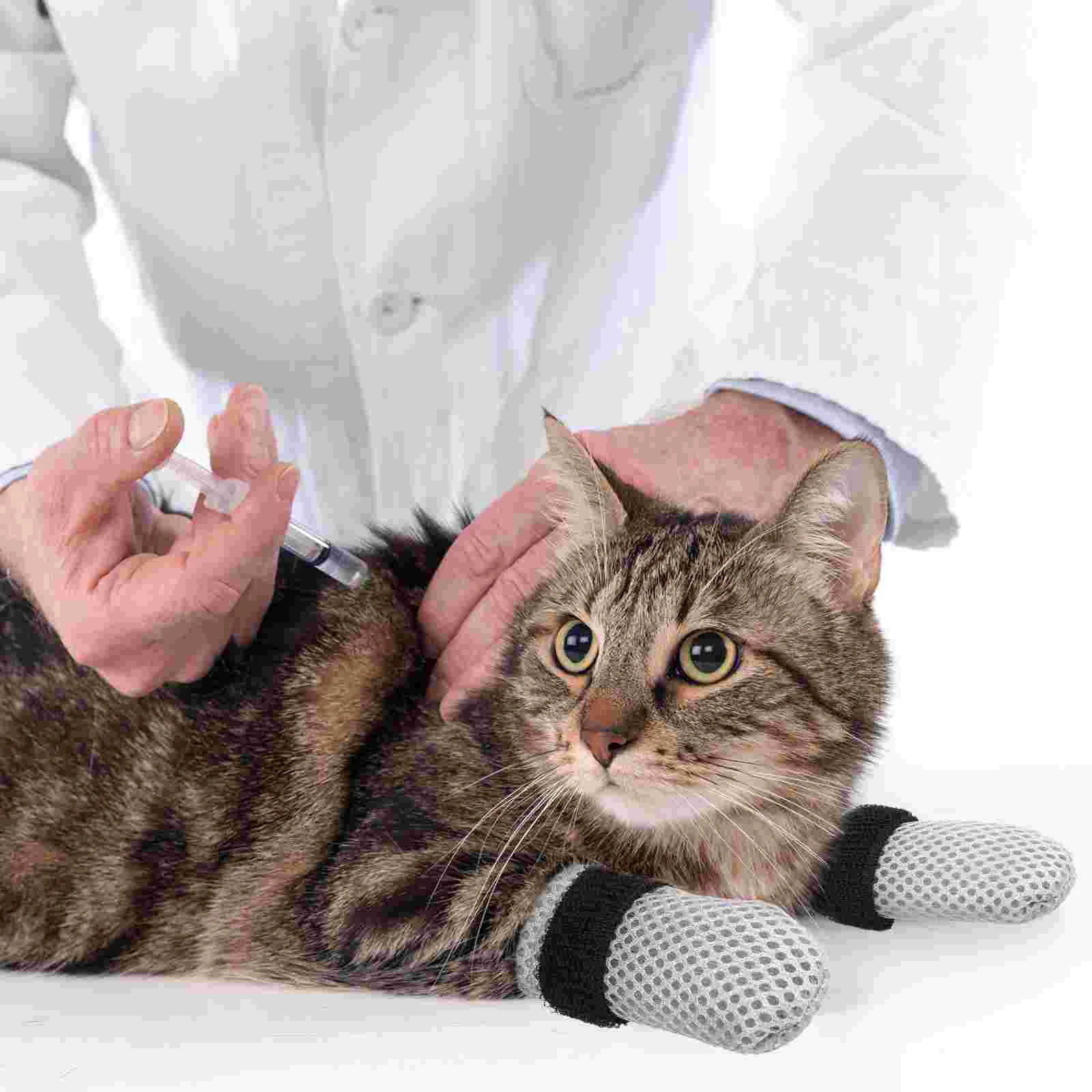 4 Pcs Clippers Cat Shoes Nail Covers Paw Protectors for Cats Polyester Socks Trimmer Booties
4 Pcs Clippers Cat Shoes Nail Covers Paw Protectors for Cats Polyester Socks Trimmer Booties