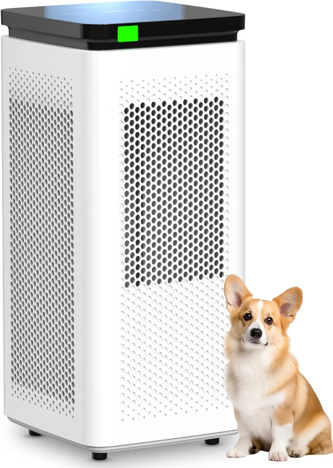 Air Purifiers for Home Large Rooms up to 3500 Ft² H13 True HEPA 0 1 Micron 99 97 Filtration with Carbon Filter 235 CFM CADR
Air Purifiers for Home Large Rooms up to 3500 Ft² H13 True HEPA 0 1 Micron 99 97 Filtration with Carbon Filter 235 CFM CADR