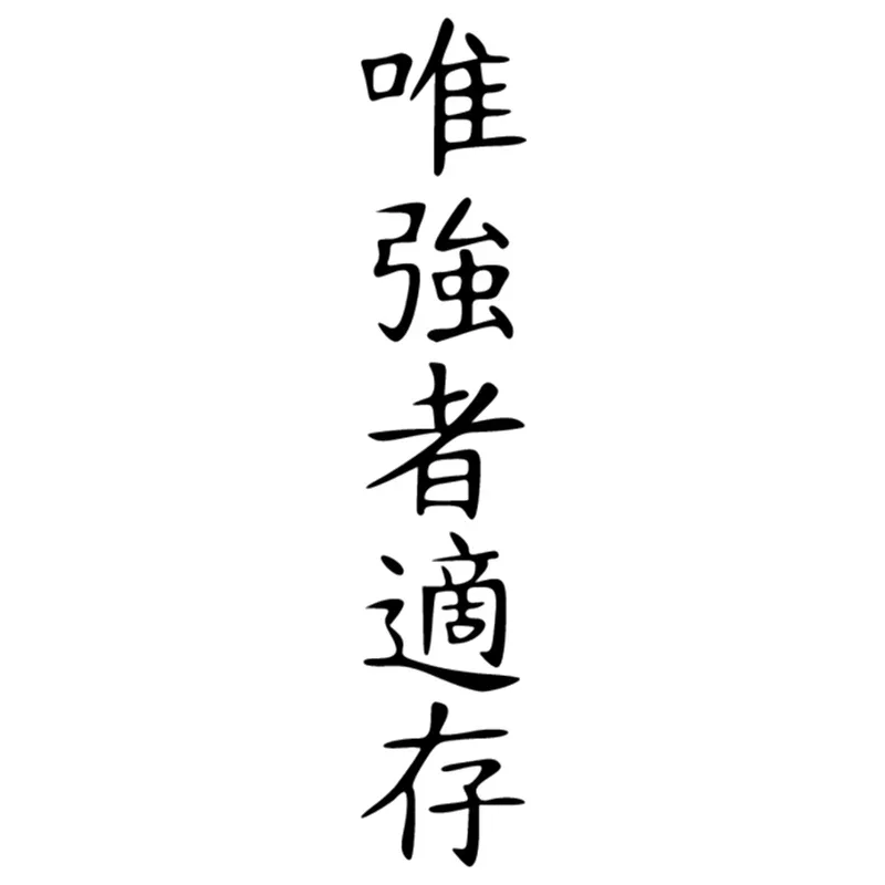 YUIN Creative Hieroglyphs Only Survive The Strong Personality Car Stickers PVC Fashion Auto Window Bumper Waterproof Decals
YUIN Creative Hieroglyphs Only Survive The Strong Personality Car Stickers PVC Fashion Auto Window Bumper Waterproof Decals