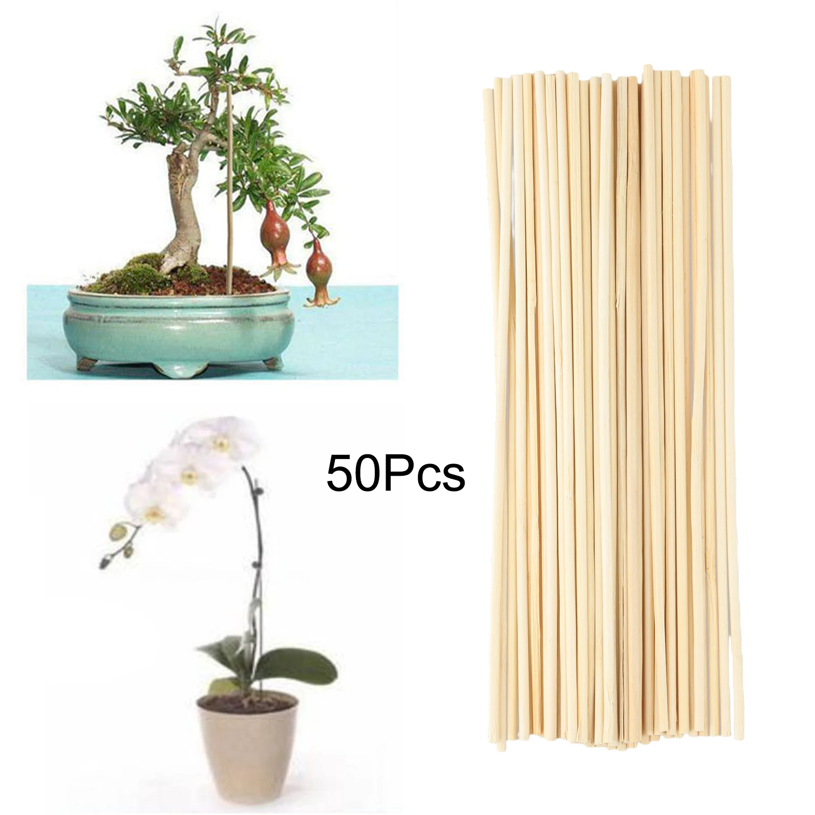 50Pcs Bamboo Sticks Garden Plant Support Flower Stick Gardening Tool Wooden Plant Grow Canes Plants Flower Support Stick
50Pcs Bamboo Sticks Garden Plant Support Flower Stick Gardening Tool Wooden Plant Grow Canes Plants Flower Support Stick