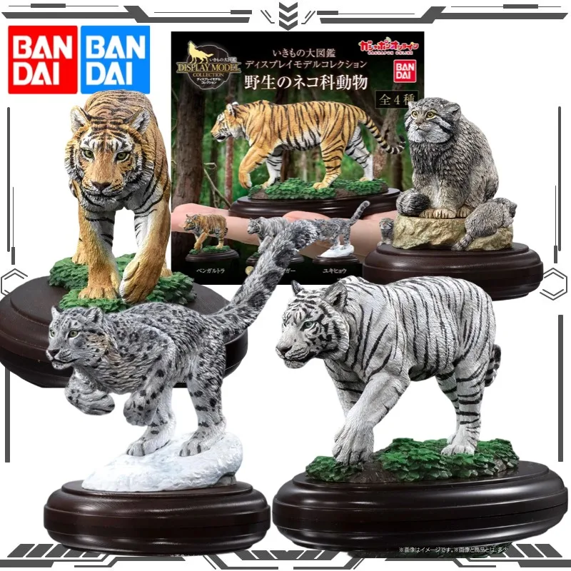 Bandai Gashapon Wildlife Encyclopedia Wild Cat Mini Figure Bengal Tiger White Tiger Snow Action Figure Toys for Boys Girls
Bandai Gashapon Wildlife Encyclopedia Wild Cat Mini Figure Bengal Tiger White Tiger Snow Action Figure Toys for Boys Girls
