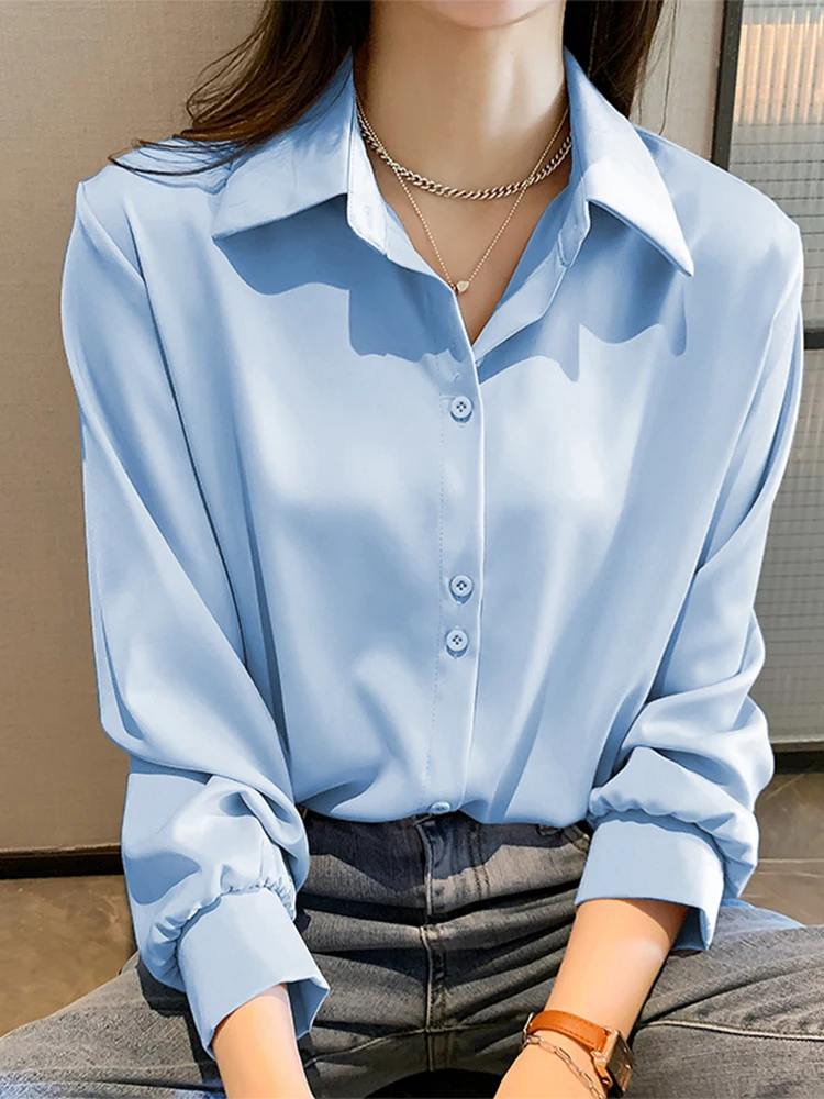 Blue Chiffon Women's Shirt Layering Base Layer Inner Wear Spring Summer Autumn Winter plus Size Professional Clothing Top
Blue Chiffon Women's Shirt Layering Base Layer Inner Wear Spring Summer Autumn Winter plus Size Professional Clothing Top