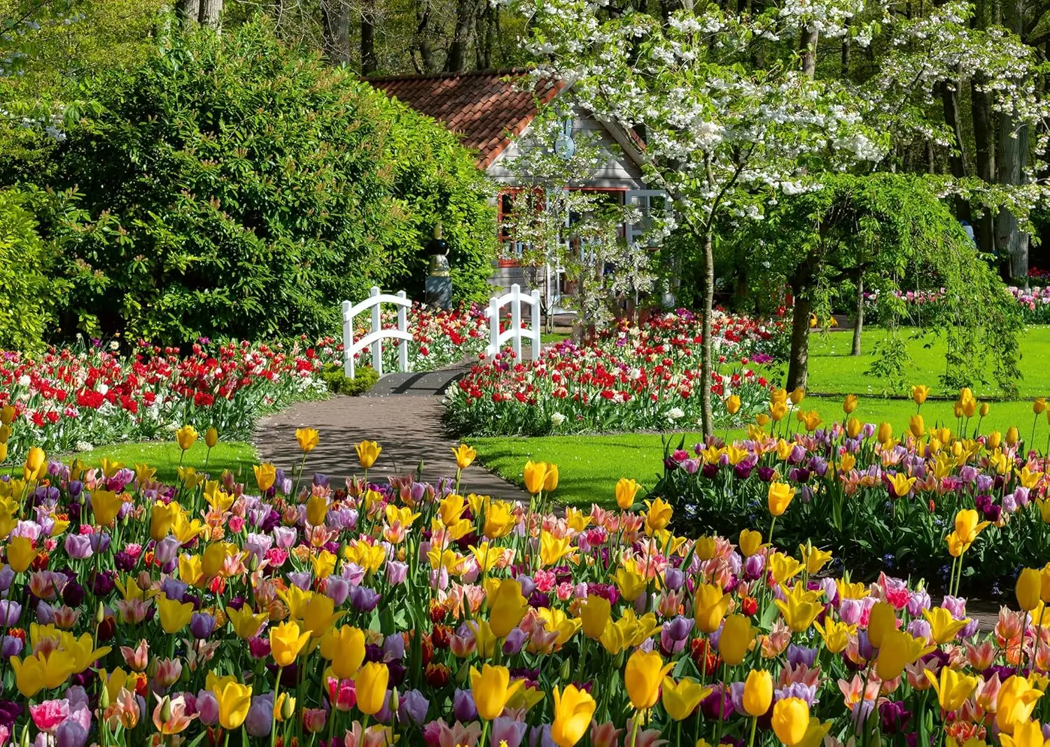 300/500/1000Pcs Flower Bed Wooden Puzzle High Definition Creative Challenge Ideal Gift for Puzzle Enthusiasts Home Decor Lovers
300/500/1000Pcs Flower Bed Wooden Puzzle High Definition Creative Challenge Ideal Gift for Puzzle Enthusiasts Home Decor Lovers