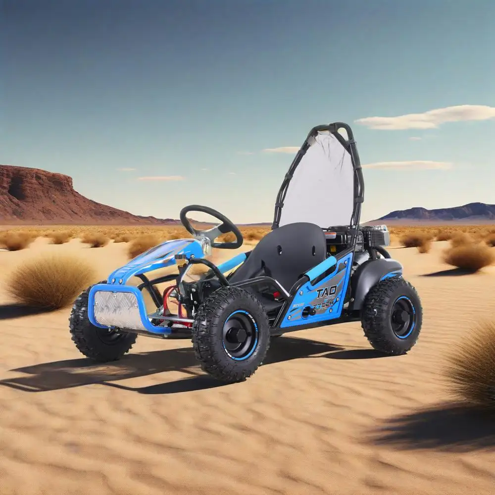 Tao Motor New Automatic With Reverse Single Adjustable Seat Chain Drive Gas Powered Go Karts For Kids
Tao Motor New Automatic With Reverse Single Adjustable Seat Chain Drive Gas Powered Go Karts For Kids
