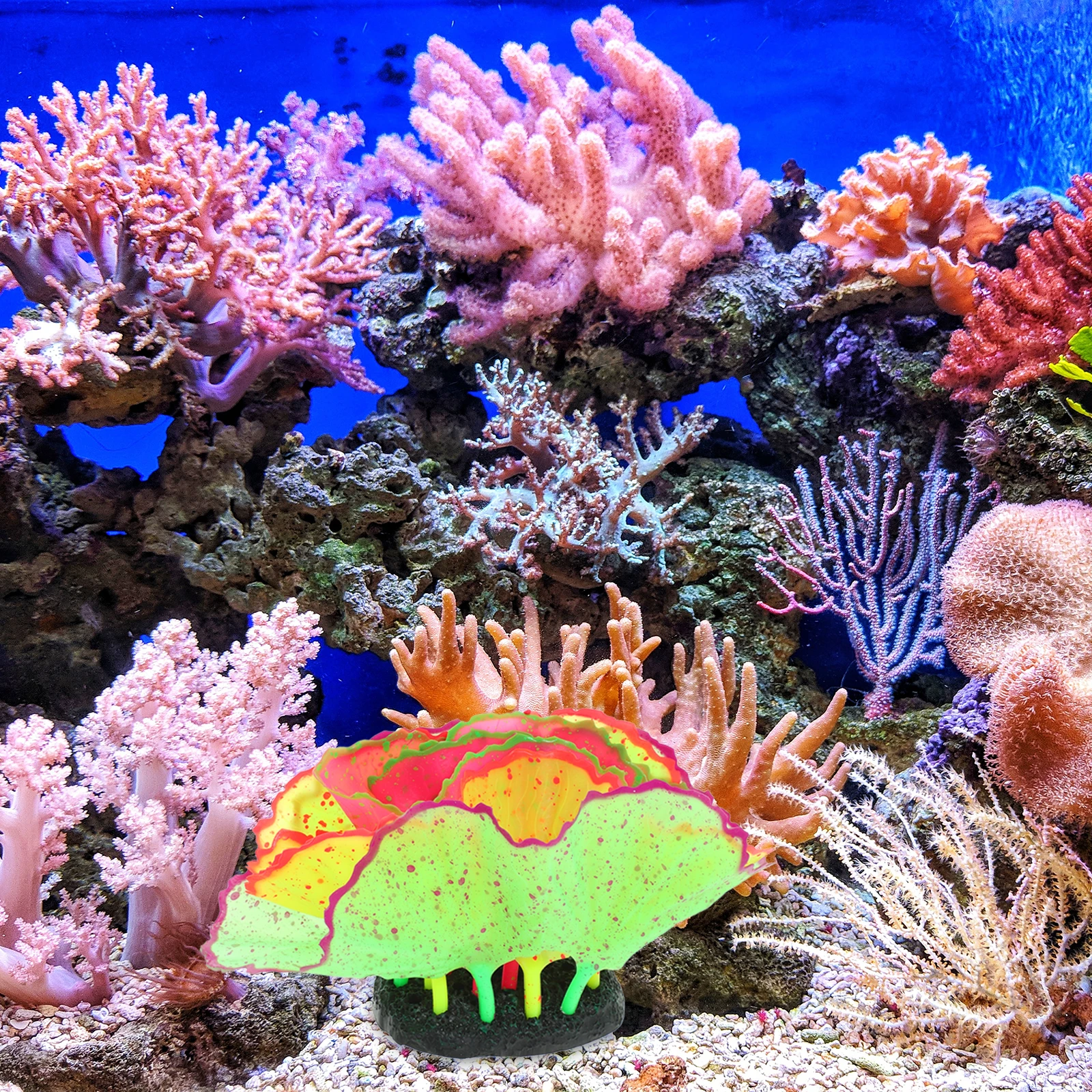 Coral Decoration Fish Tank Aquarium Decorative Corals Silica Gel Realistic Plants Simulation Coral Landscape Layout Fish Tank
Coral Decoration Fish Tank Aquarium Decorative Corals Silica Gel Realistic Plants Simulation Coral Landscape Layout Fish Tank
