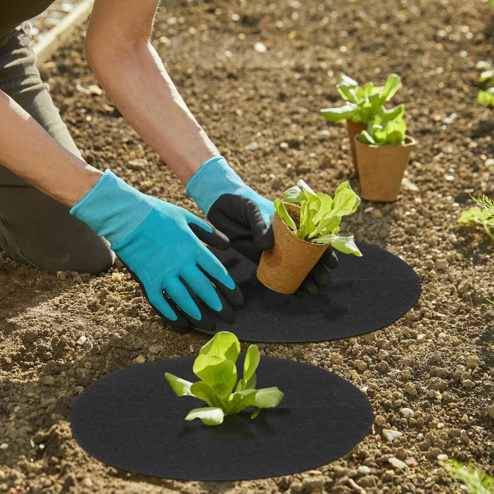 20 Pcs Black Anti Grass Cloth 27cmx4cm Non woven Control Ring Cover Sturdy Long lasting Plant Protection
20 Pcs Black Anti Grass Cloth 27cmx4cm Non woven Control Ring Cover Sturdy Long lasting Plant Protection