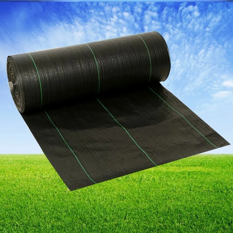 5/10/15M Anti-Weed Mesh Agricultural Mulch Cloth Garden Weed Barrier Fabric Permeable Greenhouse Weeding Mat For Weed Control
5/10/15M Anti-Weed Mesh Agricultural Mulch Cloth Garden Weed Barrier Fabric Permeable Greenhouse Weeding Mat For Weed Control