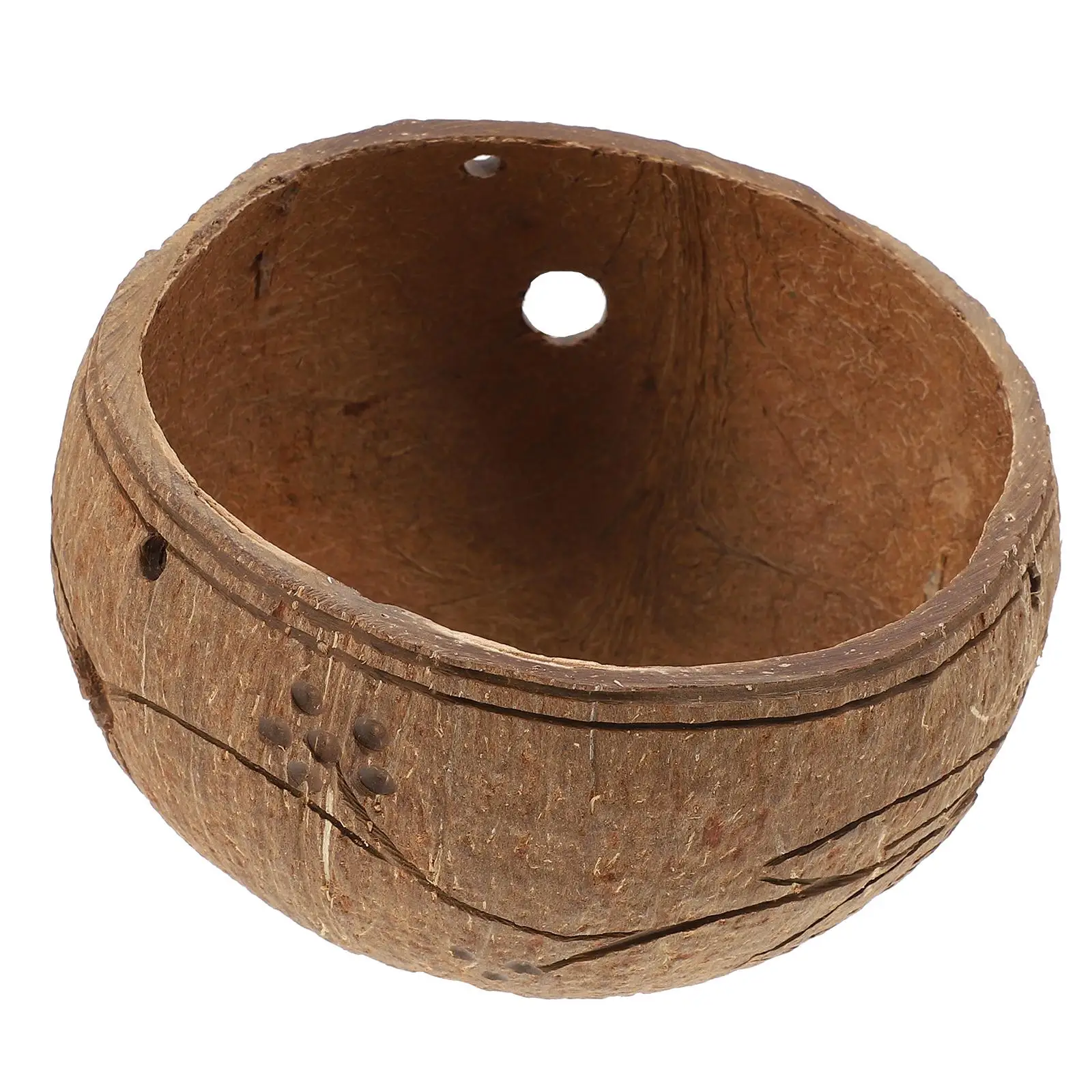 Succulent Plant Hanging Basket Coconut Shell Planter Pots for Plants Indoor Garden Decoration Potted
Succulent Plant Hanging Basket Coconut Shell Planter Pots for Plants Indoor Garden Decoration Potted