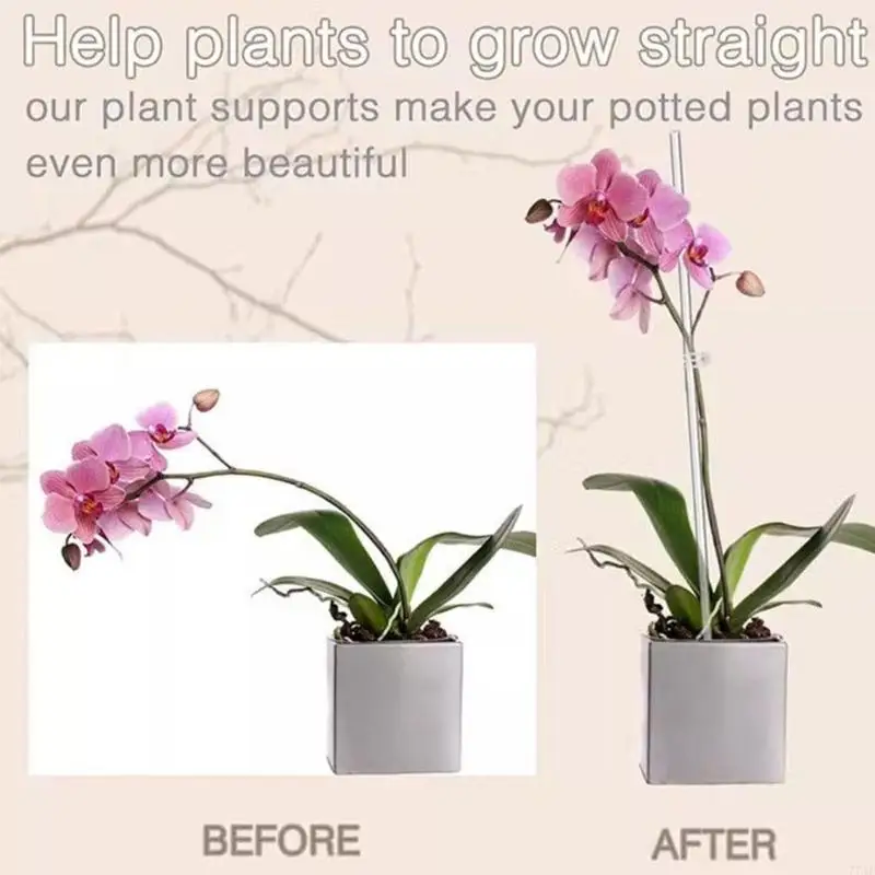 77JF 30pcs Plant Plant Scoper Holder Holder Coalt для здоровья растений с стеблем и простых в установке системы поддержки для
77JF 30pcs Plant Plant Scoper Holder Holder Coalt для здоровья растений с стеблем и простых в установке системы поддержки для