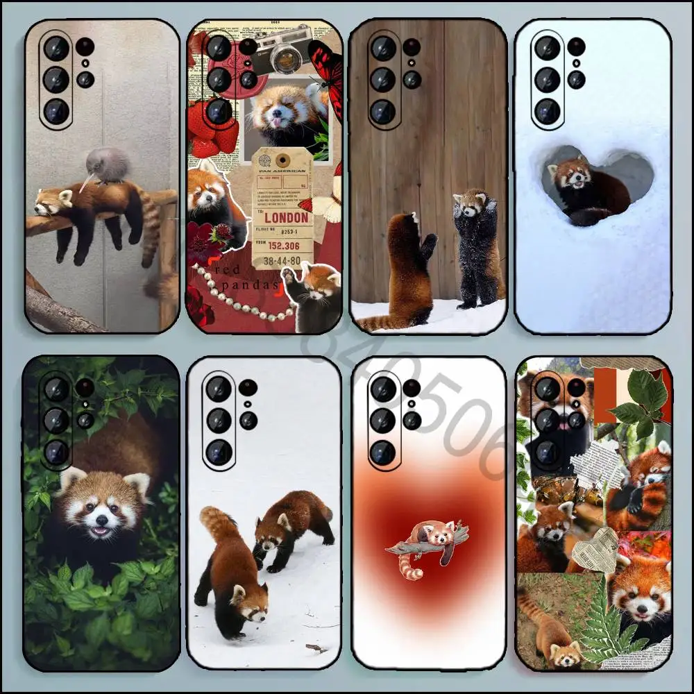 Red Panda Phone Case For Samsung Galaxy A13,21s,22,31,32,52,53,71,80,A91 Soft Black Cover
Red Panda Phone Case For Samsung Galaxy A13,21s,22,31,32,52,53,71,80,A91 Soft Black Cover