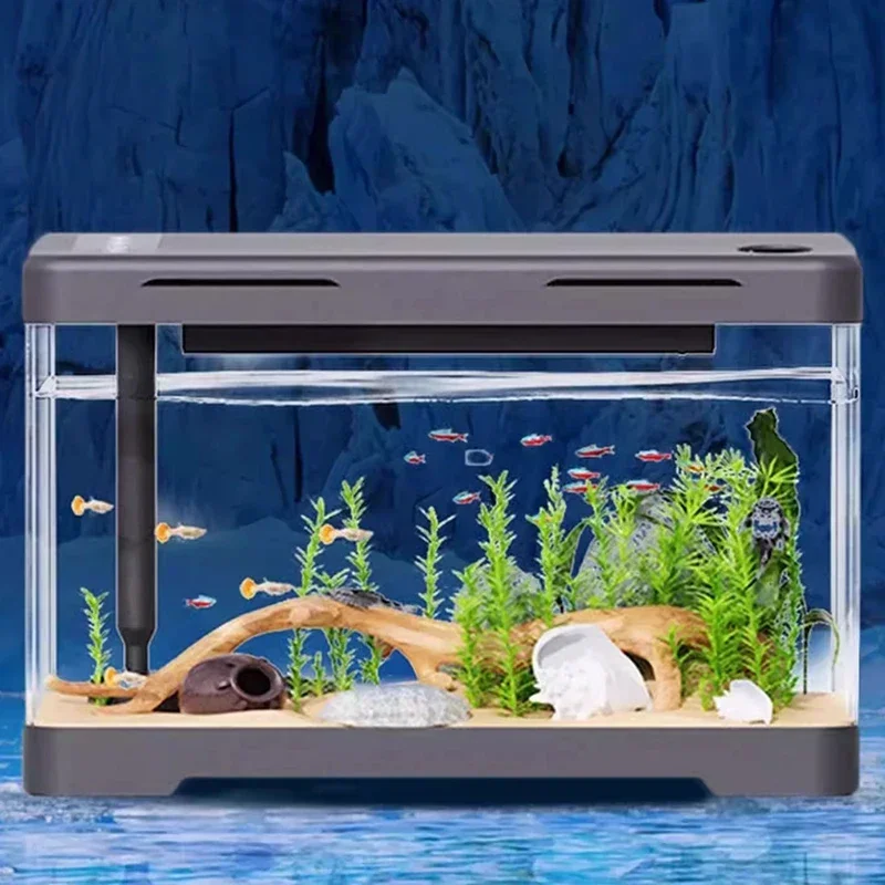 Оригинальность Стеклянные аквариумы Декоративные аквариумы для настольных аквариумов для гостиной Простой дизайн Современные товары для домашних животных Tangki LLAQ 
Оригинальность Стеклянные аквариумы Декоративные аквариумы для настольных аквариумов для гостиной Простой дизайн Современные товары для домашних животных Tangki LLAQ