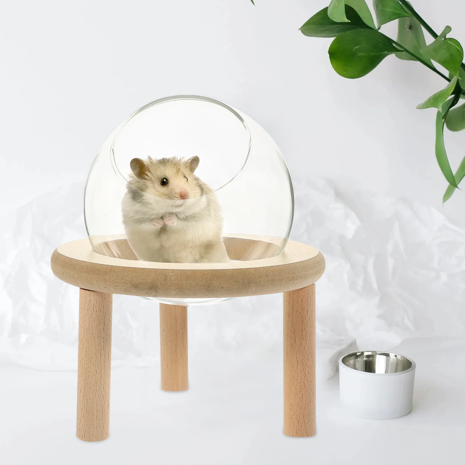 Space Capsule Hideout Transparent Hamster Sand Bath Container for Small Pet Bathroom Bathtub Wear-Resistant Cage Accessory
Space Capsule Hideout Transparent Hamster Sand Bath Container for Small Pet Bathroom Bathtub Wear-Resistant Cage Accessory
