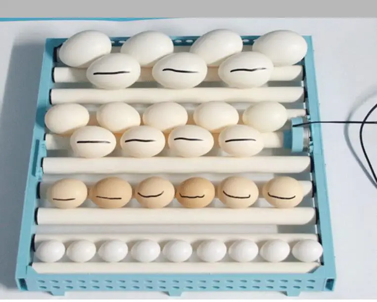 Egg incubator Automatic household egg maker 48 incubators
Egg incubator Automatic household egg maker 48 incubators