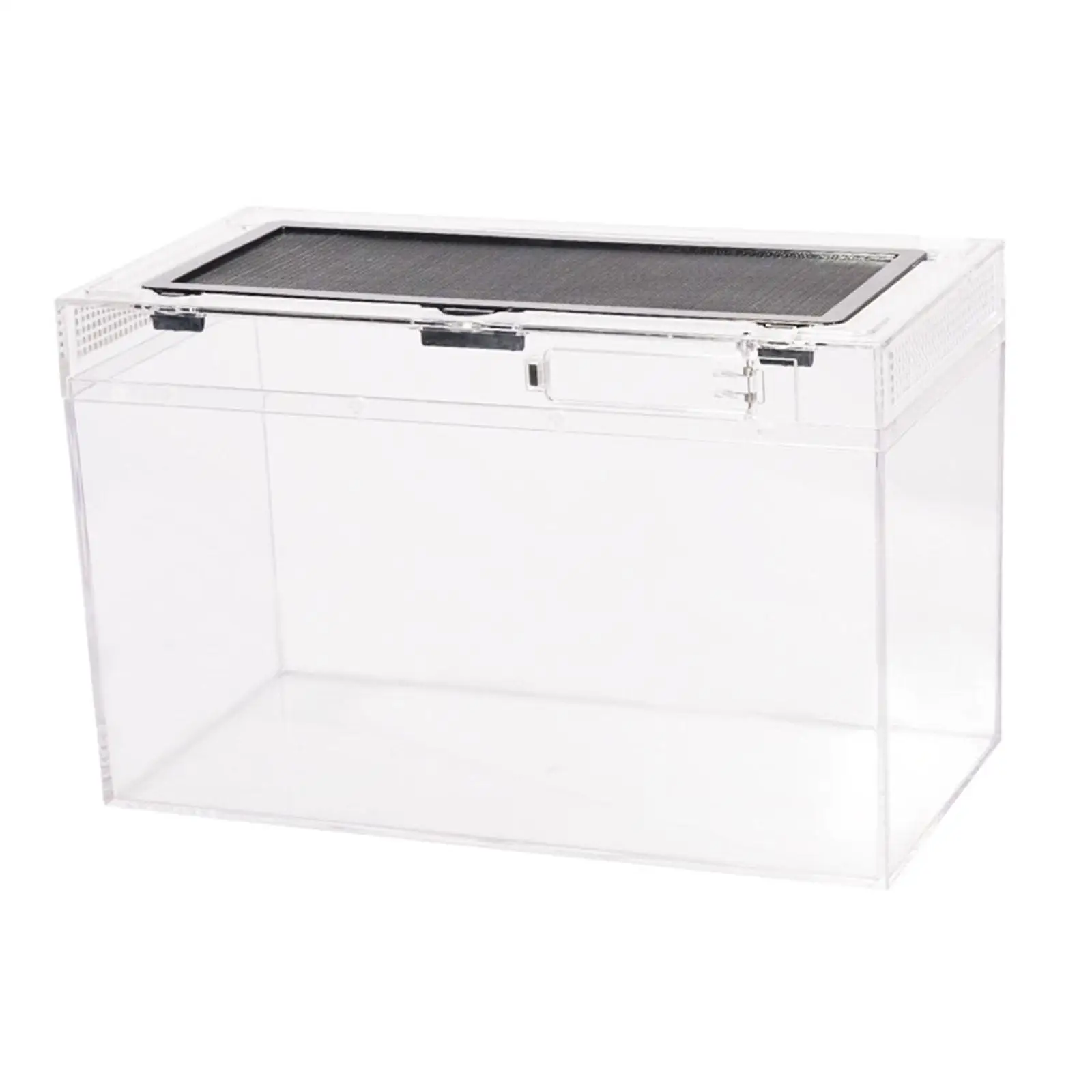 Reptile Terrarium Tank with Full View Visually Clear Breeding Tank Habitat Fish Aquarium Tank for Frog Snake Chameleon
Reptile Terrarium Tank with Full View Visually Clear Breeding Tank Habitat Fish Aquarium Tank for Frog Snake Chameleon