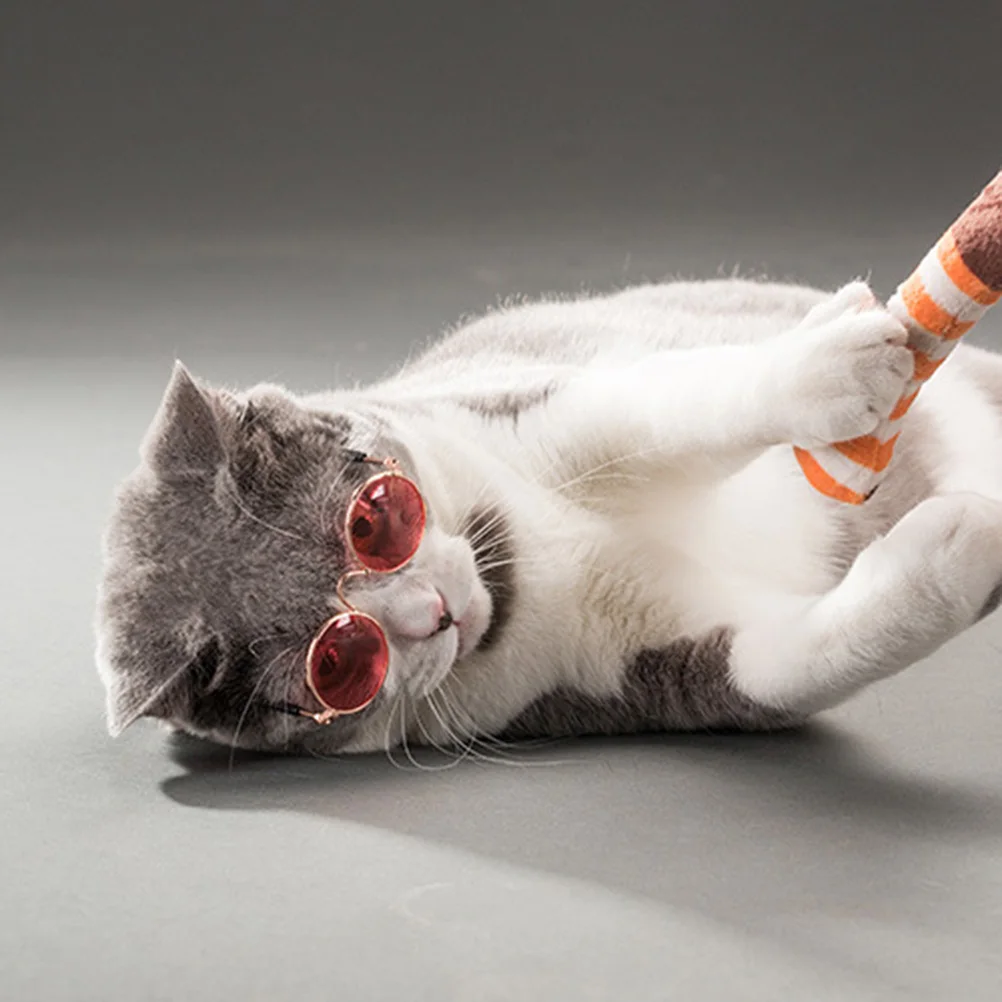 Pet Sunglasses Unisex Fashion Eyewear Lightweight Polarized Lens Outdoor Activities Dog Accessories Cute Coffee Style
Pet Sunglasses Unisex Fashion Eyewear Lightweight Polarized Lens Outdoor Activities Dog Accessories Cute Coffee Style