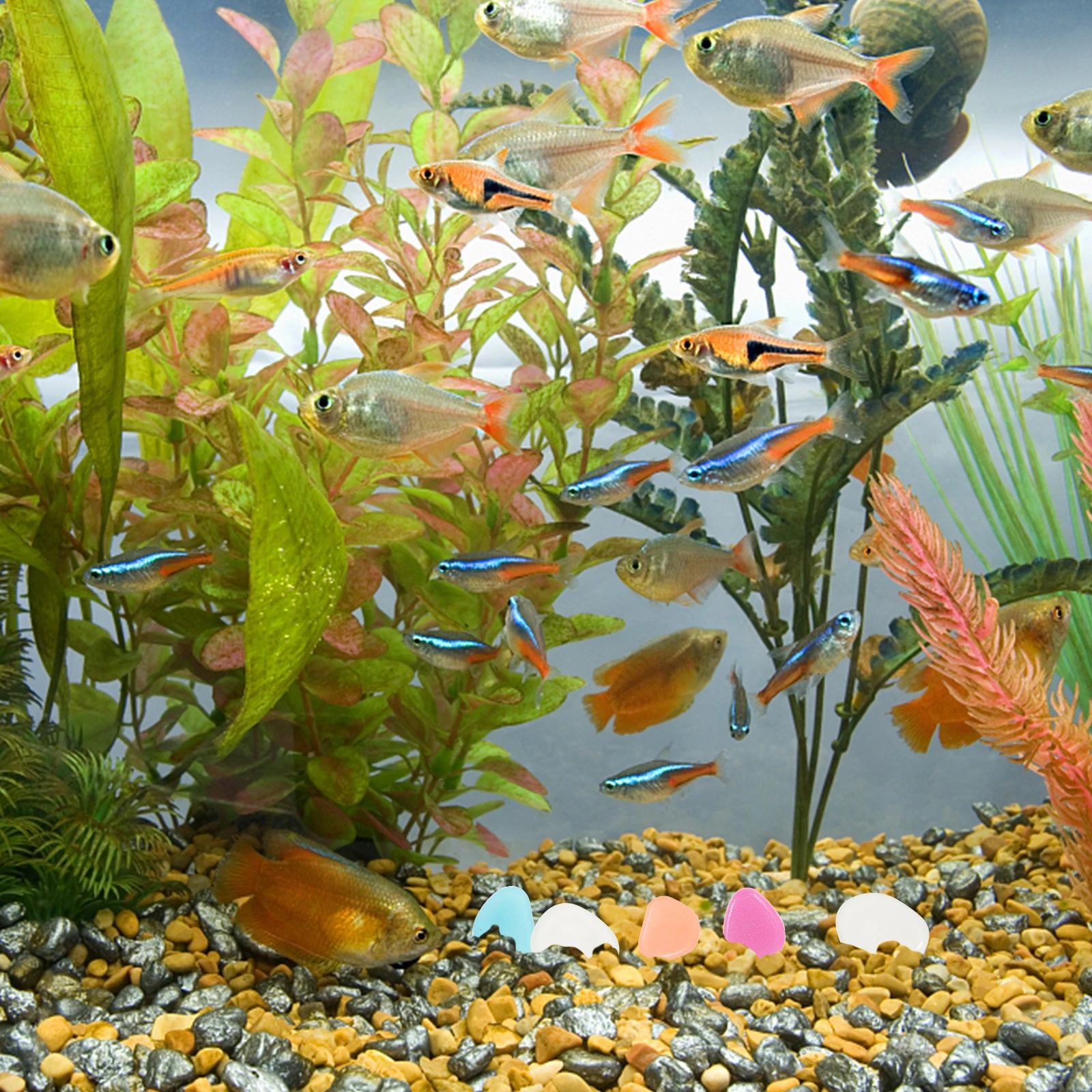 200 Pcs Stones Safe Aquatic Fish Fresh Salt Water Aquarium Decorative Pebbles Garden Lawn Fountains Vase Fillers
200 Pcs Stones Safe Aquatic Fish Fresh Salt Water Aquarium Decorative Pebbles Garden Lawn Fountains Vase Fillers