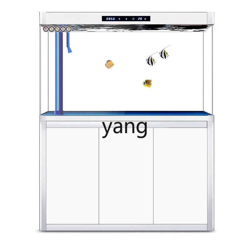 LTT fish tank medium and large glass screen partition aquarium living room
LTT fish tank medium and large glass screen partition aquarium living room