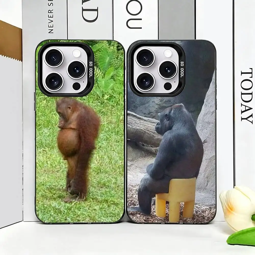 Monkey Memes Funny Phone Case For iPhone 17,16,15,14,13,12,11 Plus,Pro Max,XS,Colorful Silver Phone case Funda Cover
Monkey Memes Funny Phone Case For iPhone 17,16,15,14,13,12,11 Plus,Pro Max,XS,Colorful Silver Phone case Funda Cover
