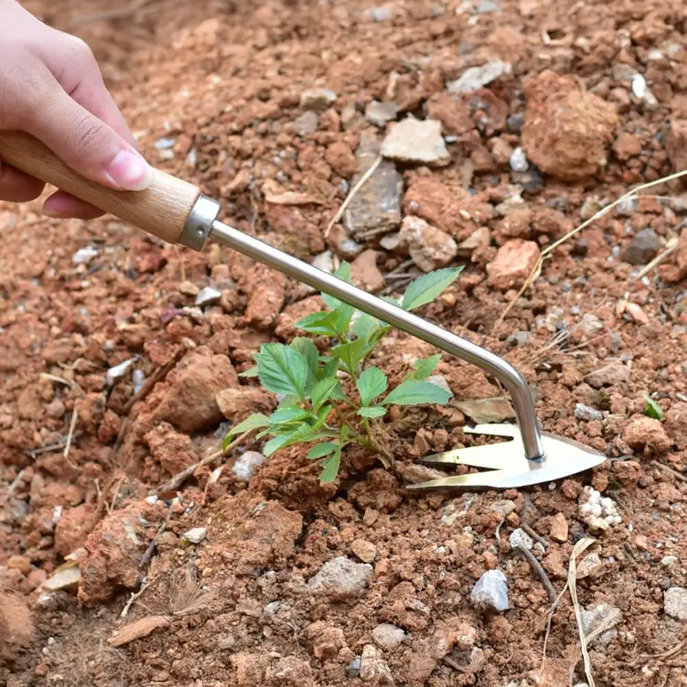 Weed Puller Tool Heavy Duty 3-tooth Weeder Puller for Outdoor Gardening Lawn Farm Backyard Long Handle Weed for Uprooting
Weed Puller Tool Heavy Duty 3-tooth Weeder Puller for Outdoor Gardening Lawn Farm Backyard Long Handle Weed for Uprooting