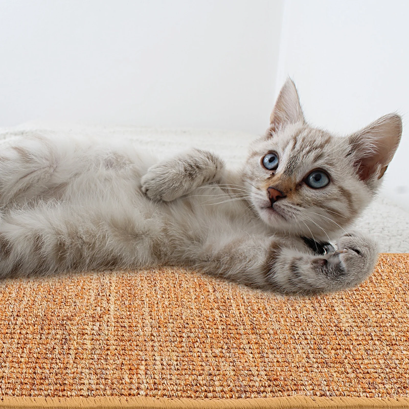 Cat Scratching Mat Sisal Sofa Cushion Durable Pet Rug Protective Cat Scratch Mat Floor Blanket Sofa Cushion Pet Rug
Cat Scratching Mat Sisal Sofa Cushion Durable Pet Rug Protective Cat Scratch Mat Floor Blanket Sofa Cushion Pet Rug