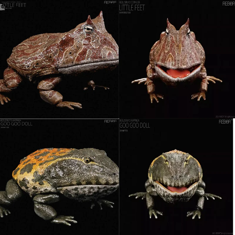 New Inventory REBOR 1:2 Super Movable Devil Frog Devil Horned Frog Frog Bullfrog Reptile Reptile Model Toy Collection Gift
New Inventory REBOR 1:2 Super Movable Devil Frog Devil Horned Frog Frog Bullfrog Reptile Reptile Model Toy Collection Gift