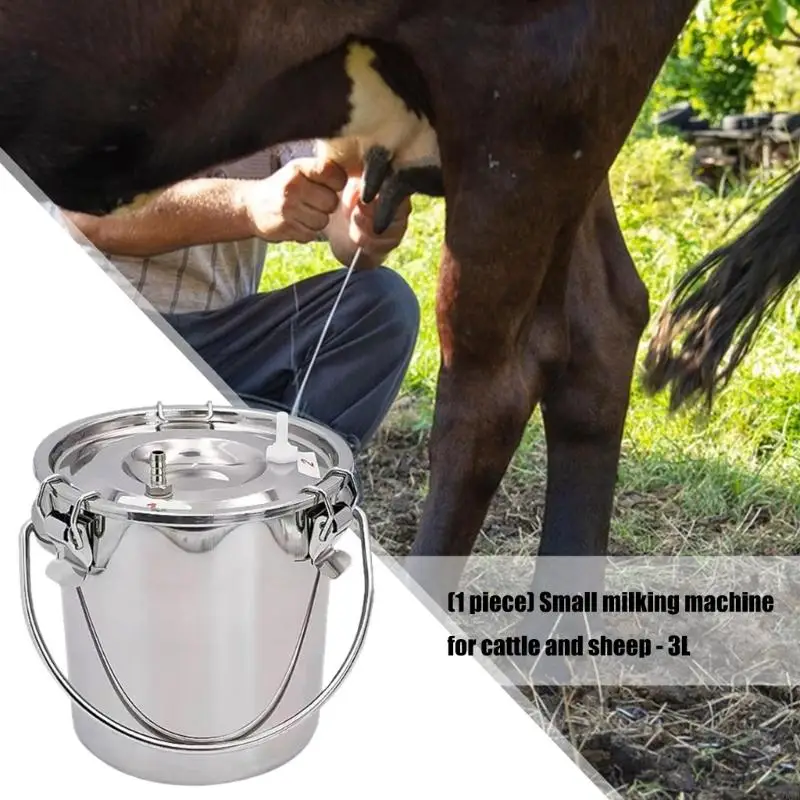 Professional Milking Machine Bucket Stainless Steel Durable Design For Cattle Sheep And Goats Y5GB
Professional Milking Machine Bucket Stainless Steel Durable Design For Cattle Sheep And Goats Y5GB