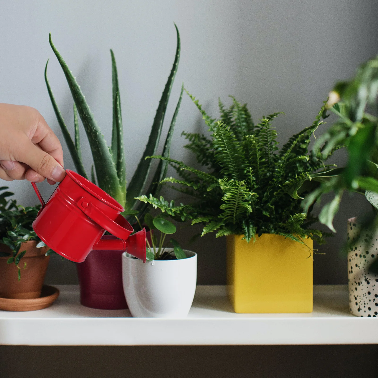 Iron Watering Can 2 Pcs Red Small Metal Outdoor Plants Durable Large Capacity Leakproof Long Mouth Design For Indoor
Iron Watering Can 2 Pcs Red Small Metal Outdoor Plants Durable Large Capacity Leakproof Long Mouth Design For Indoor