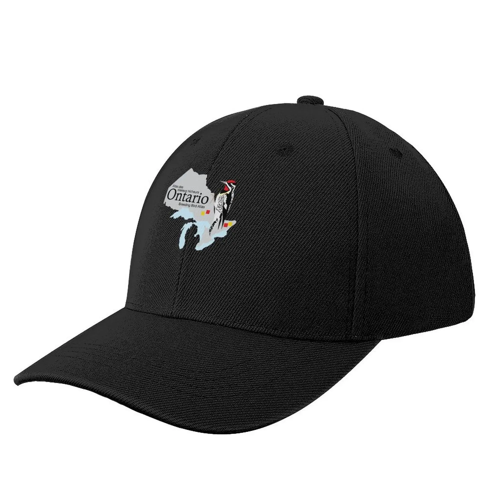 Ontario breeding bird atlas standard logo Baseball Cap Sun Cap Trucker Cap New Hat Visor Girl Men's
Ontario breeding bird atlas standard logo Baseball Cap Sun Cap Trucker Cap New Hat Visor Girl Men's
