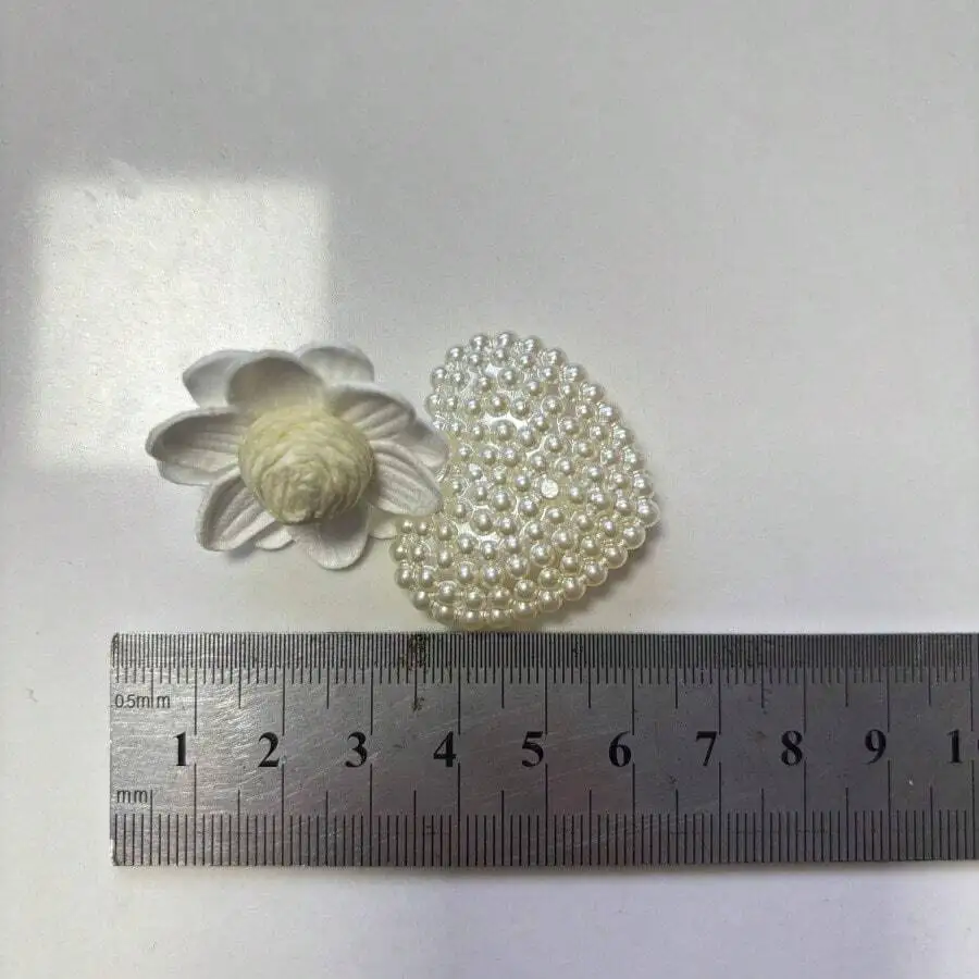 2PCS White Flower And Pearl Heart Earrings For Women Fashion Accessories
2PCS White Flower And Pearl Heart Earrings For Women Fashion Accessories