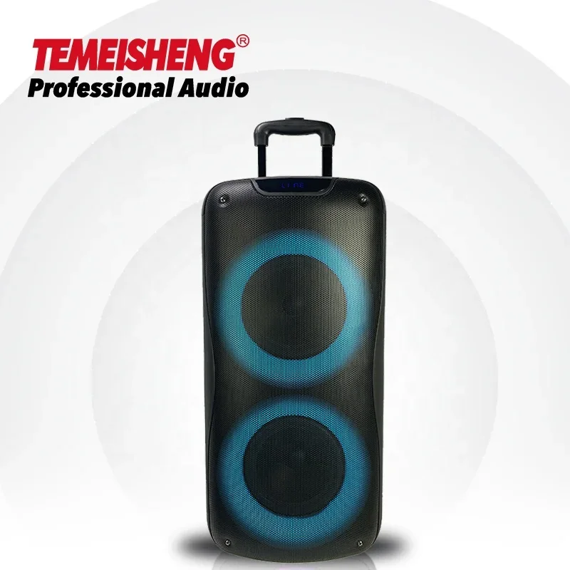 Temeisheng Dual 8 Inch Audio Sound Box Speaker Karaoke Boombox System Tower Dj Party Wireless BT Karaoke Speaker
Temeisheng Dual 8 Inch Audio Sound Box Speaker Karaoke Boombox System Tower Dj Party Wireless BT Karaoke Speaker