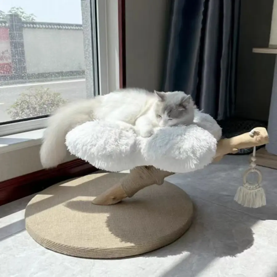 Luxury Wood White Large Cat Condo Tree With Flower Sleeping Bed Sisal Posts Perches Real Wood Branch
Luxury Wood White Large Cat Condo Tree With Flower Sleeping Bed Sisal Posts Perches Real Wood Branch