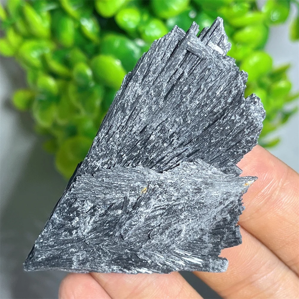 Crystal Natural Stone Feather Black Tourmaline Raw Specimen Indian Healing Gemstone Mineral Decoration Energy Room Gift Home
Crystal Natural Stone Feather Black Tourmaline Raw Specimen Indian Healing Gemstone Mineral Decoration Energy Room Gift Home