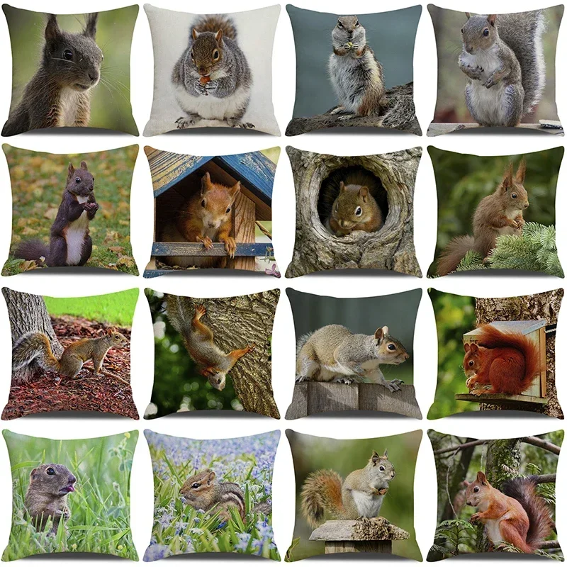 Linen Pillow Cover Decorative Pillow Case 18x18 Inches Cushion Covers Home Throw Pillows for Sofa Seat Cute Squirrel Pillow Case
Linen Pillow Cover Decorative Pillow Case 18x18 Inches Cushion Covers Home Throw Pillows for Sofa Seat Cute Squirrel Pillow Case