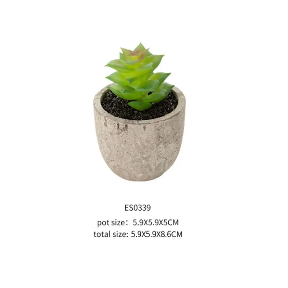 Artificial Succulent Plants Decor Faux Houseplant Plastic Plant Ornament Long Lasting Office Desktop Gifts
Artificial Succulent Plants Decor Faux Houseplant Plastic Plant Ornament Long Lasting Office Desktop Gifts